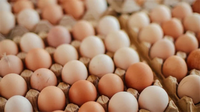 Stock of 10 million imported eggs to be released to market