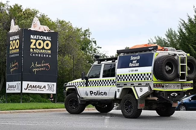 Sri Lankan chef charged with murder after Canberra zoo stabbing