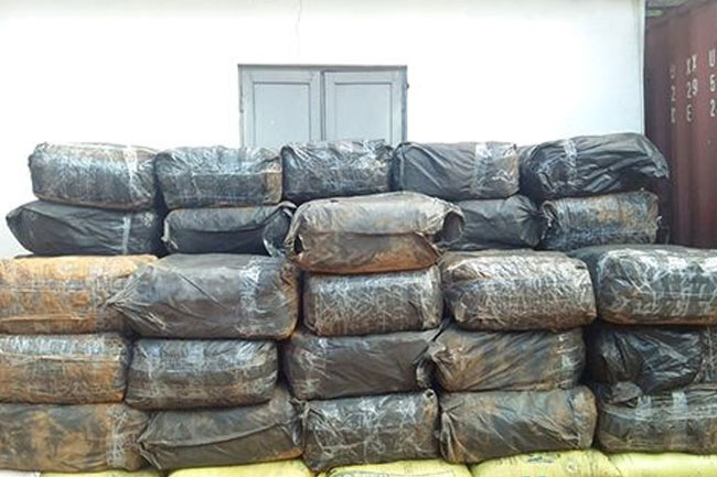 Navy seizes 1,955kg of smuggled Tendu leaves in Norochcholai