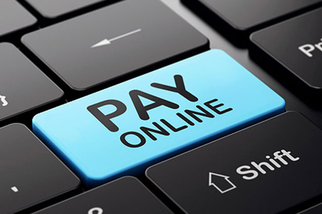 Online payment system to be introduced for all local govt bodies by 2024