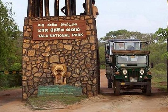 Notice issued to guests visiting Yala National Park
