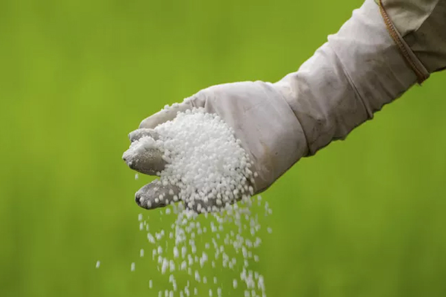 Govt mulls lifting VAT on chemical fertilizers at next Yala season