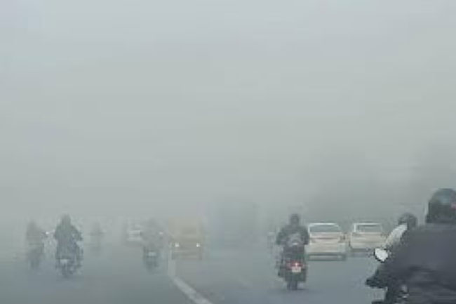 Fog, cold wave grips North India; 26 trains delayed due to low visibility in Delhi
