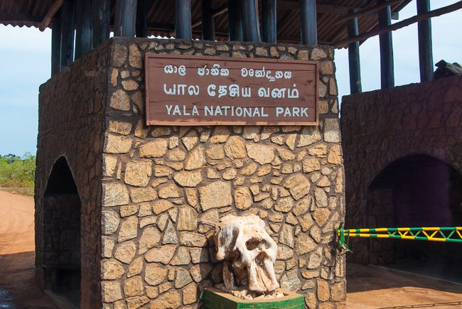 Main entrance to Yala National Park temporarily closed 