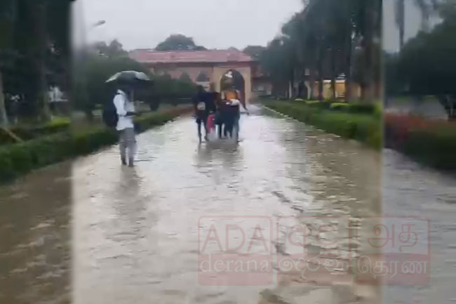 Several faculties of South-Eastern University temporarily closed due to flood risk