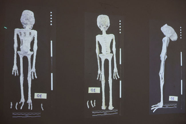 Scientists assert alien mummies in Peru are really dolls made from Earthly bones