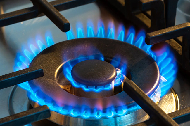 Govt incurred additional cost of over Rs. 1 bn on gas purchases amid crisis: audit report