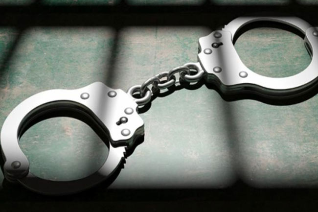 Two persons allegedly on way to assassinate businessman arrested