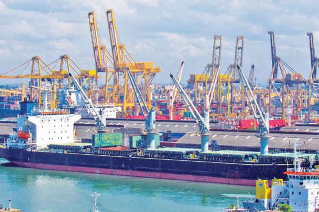 Large cache of rotten fish unloaded at Colombo Port?