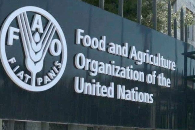 Delegation of United Nations FAO arrives in Sri Lanka