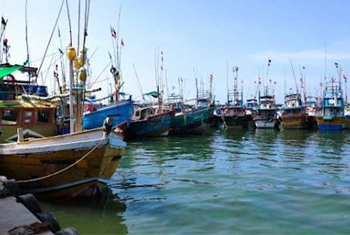 Poisonous gas from dead fish leads to death of 2 fishermen, 4 in hospital,  say police