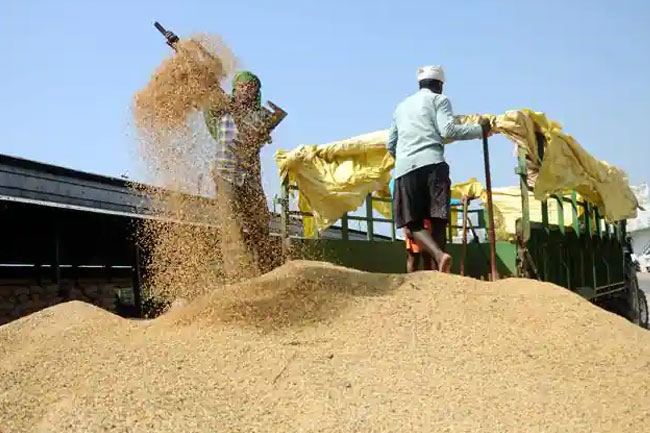 Govt. to intervene in paddy purchasing - Agri. Minister