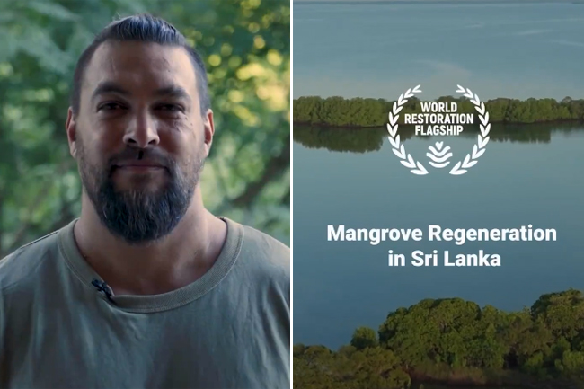 Aquaman star Jason Momoa hails Sri Lankas mangrove restoration efforts