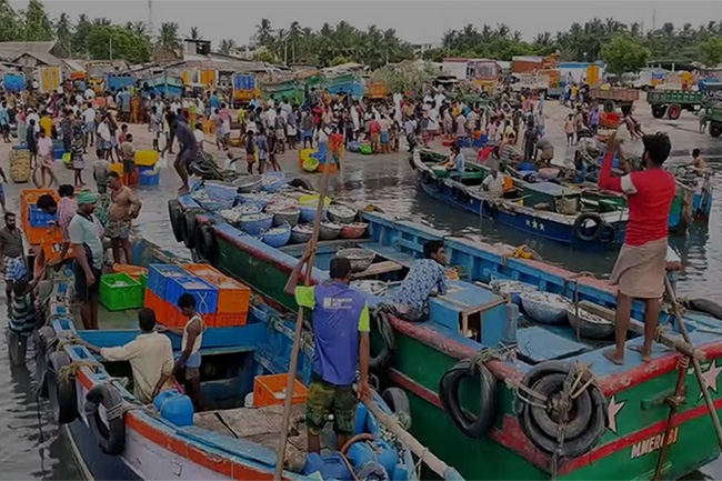 Rameswaram fishers sore over detention of TN fisherman by Sri Lanka