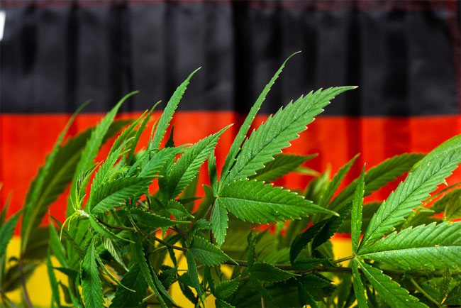 Germanys parliament votes to legalize limited marijuana possession and allow cannabis clubs