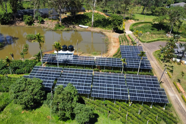 Sri Lankas first semi-transparent solar PV agrivoltaic pilot project commissioned