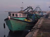 21 Indian fishermen arrested for poaching in Sri Lankan waters