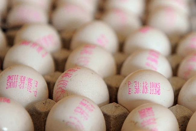 Sri Lanka to import 42 million more eggs from India