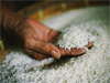 Govt. to provide rice to nearly 3 million low-income families