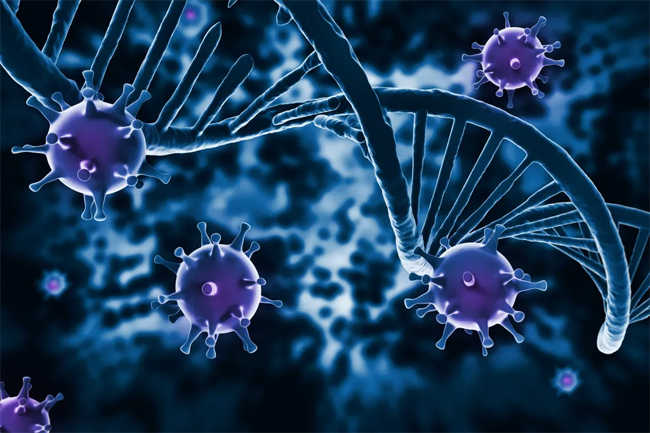Scientists say they can cut HIV out of cells