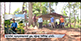 Drowning tragedy in Walakumbura: Four schoolboys dead 