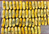 Madagascan woman arrested with 75 swallowed cocaine capsules at BIA