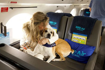 The worlds first doggy jet service will cost you $6K for one-way ticket