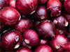 Sri Lanka explores opportunity to import big onions from Egypt