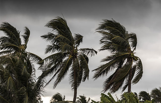 Showery and windy conditions to enhance during next few days