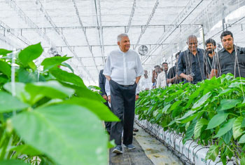 President visits AiGrow greenhouse