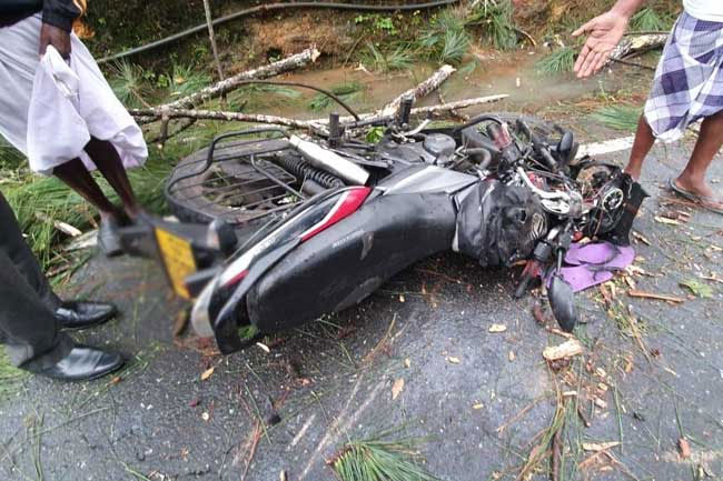 One person injured after tree falls on motorcycle