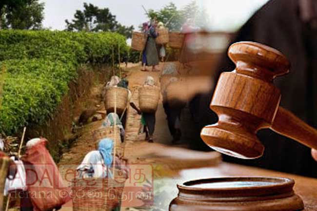 Court moved against gazetted minimum daily wage of plantation workers
