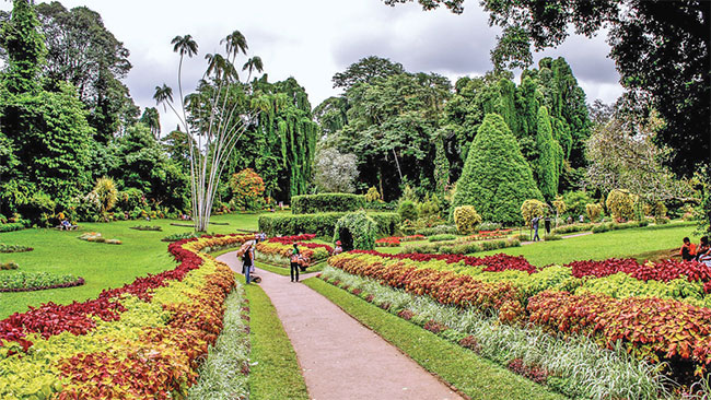 Sri Lanka to establish 10 new botanical gardens across the country