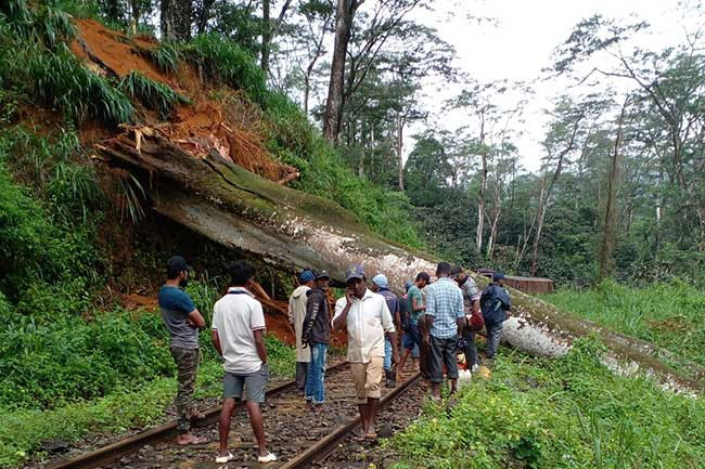 Train services disrupted on Up-country Line