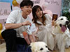  Puppy love: Canine weddings on the rise in China