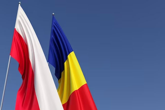 Foreign Minister Sabry to visit Romania and Poland 