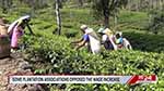 Gazette increasing daily wage of plantation workers cancelled (English)