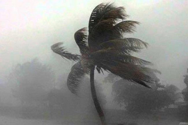 Showers and strong winds expected in parts of the island