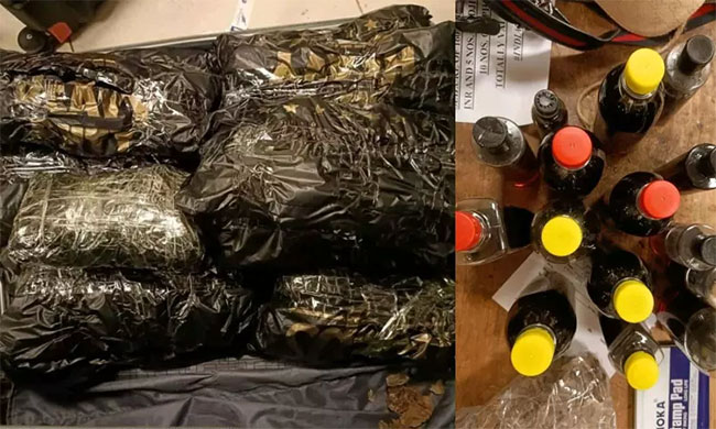 Agarwood, agar oil seized from Sri Lankan passengers at Chennai airport