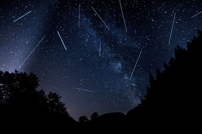 Perseid meteor shower: Sri Lankas northern sky to dazzle with midnight light show tonight