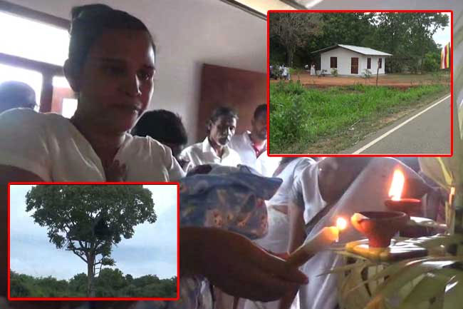 Family living in makeshift hut atop tree with newborn triplets receive new home