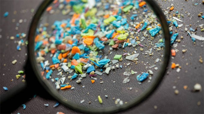 Tiny shards of plastic are increasingly infiltrating our brains, study says