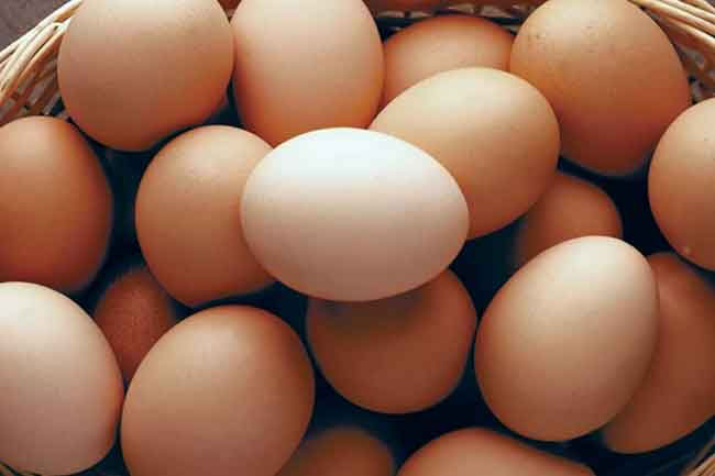 Sri Lanka to receive 3 million eggs imported from India