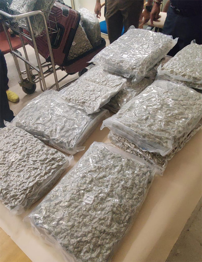 British youth arrested with over 43kg Kush cannabis at BIA