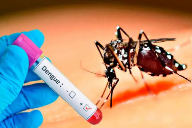 Over 38,000 dengue cases reported so far in 2024