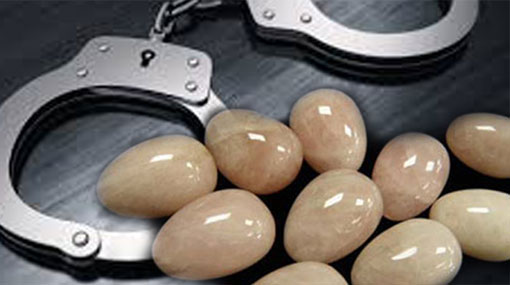 Suspect arrested with elephant pearls worth Rs. 12 mln