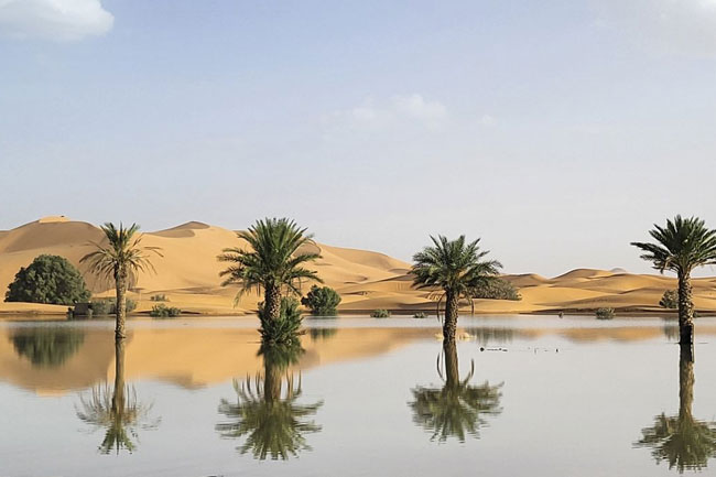 Sahara Desert flooded for the first time in decades