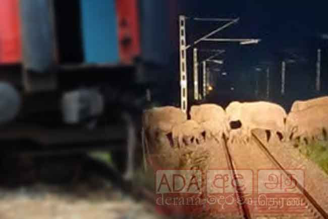 Fuel train derails after colliding with elephant herd