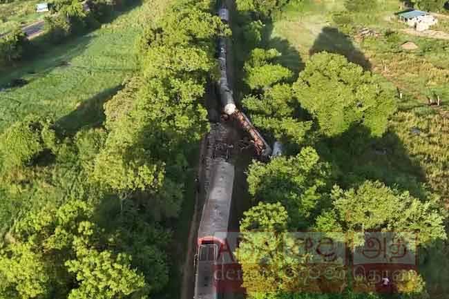 Two elephants killed in fuel train collision: Investigation launched on trains speed