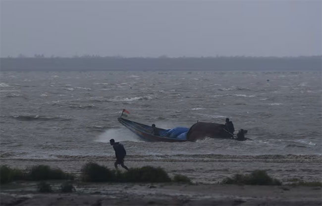 Trees uprooted, power lines snapped as Cyclone Dana pummels Indias east coast